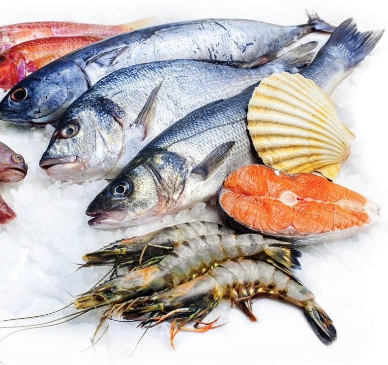 The Rise of Turkish Fish Exports: A Story of Success and Sustainability