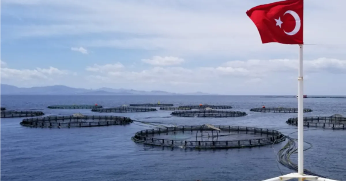 Salmon Farming in Turkey: Nurturing Excellence in Aquaculture for Sustainable Production
